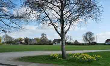 green with trees