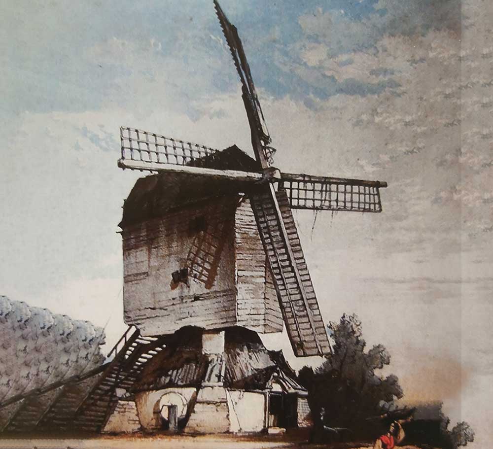 Featured image for “Windmills of Walden”