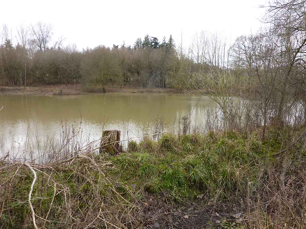 Featured image for “‘Fishmere’ and the Brickworks”
